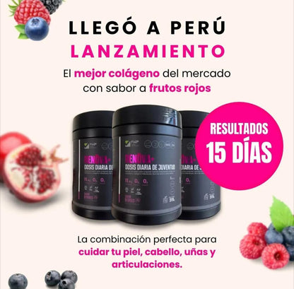 RENOVA